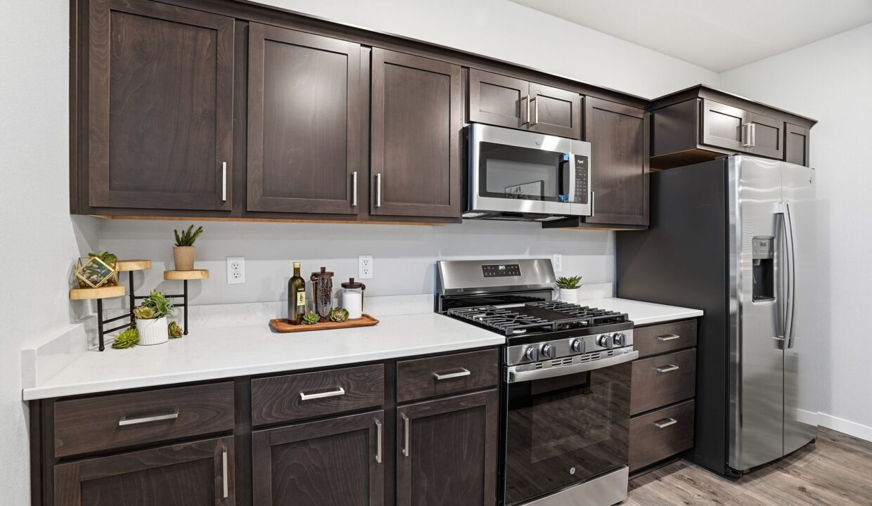 Inside-Media-Darwin-14